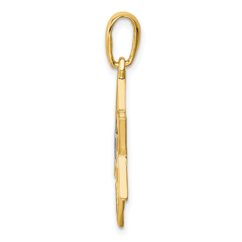 14k Yellow & Rhodium Gold & Rhodium Solid Polished Meshed Star of David Charm