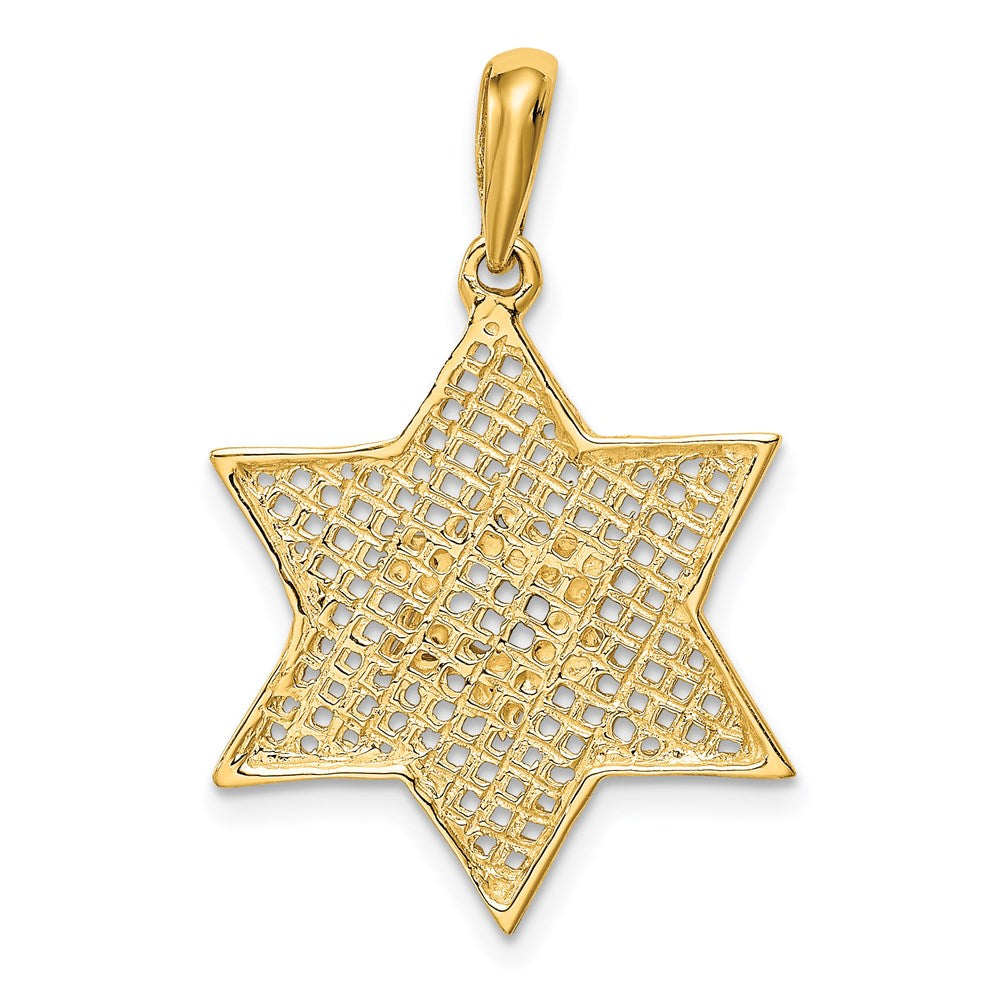 14k Yellow & Rhodium Gold & Rhodium Solid Polished Meshed Star of David Charm