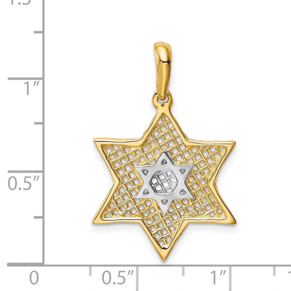 14k Yellow & Rhodium Gold & Rhodium Solid Polished Meshed Star of David Charm