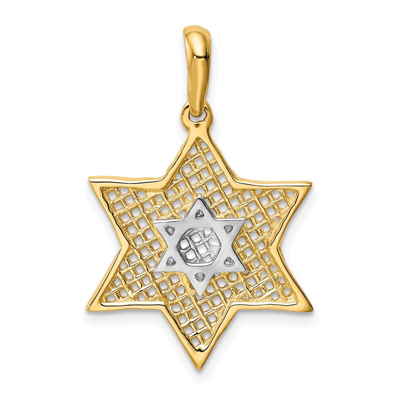 14k Yellow & Rhodium Gold & Rhodium Solid Polished Meshed Star of David Charm