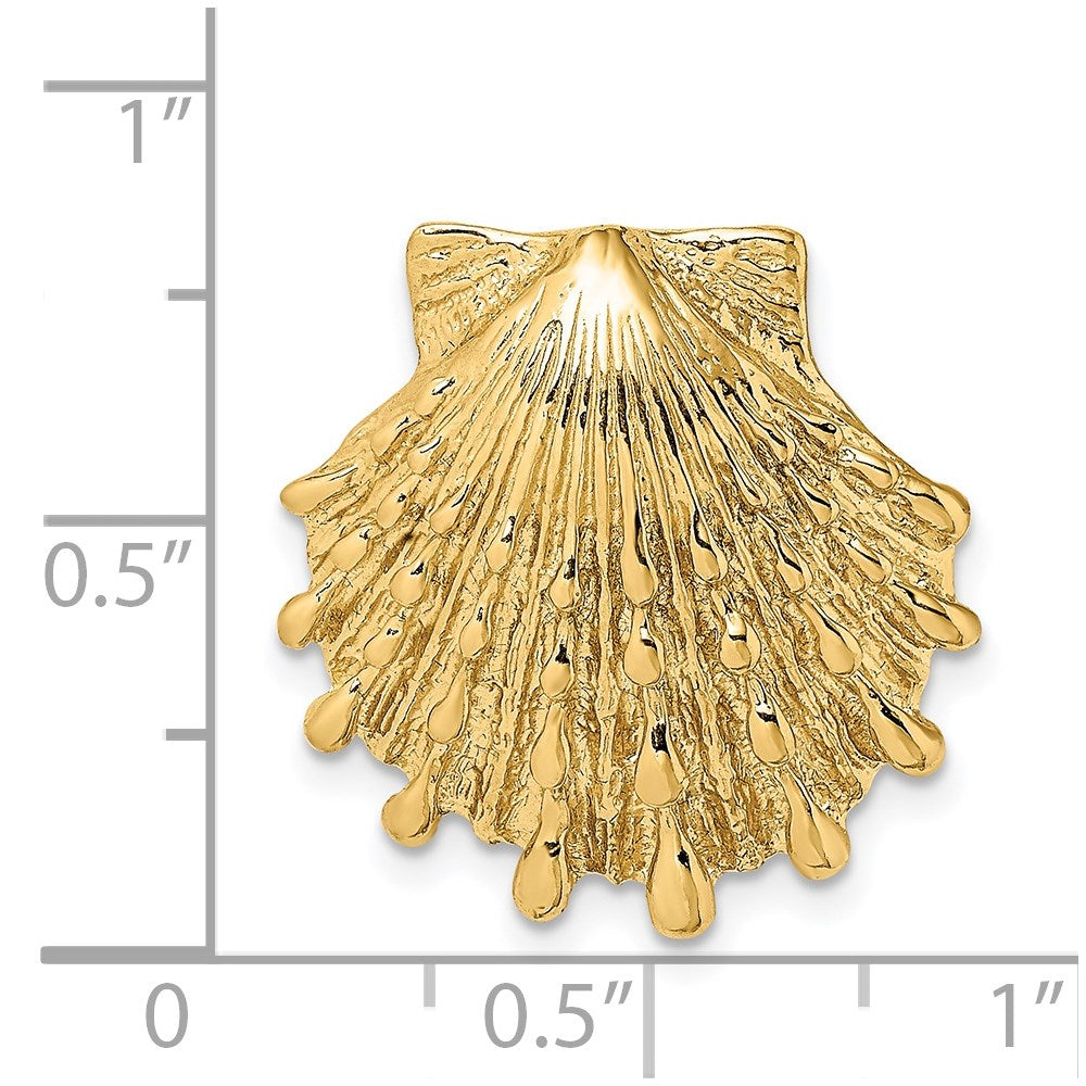 14k Yellow Gold Small Lion's Paw Shell Slide