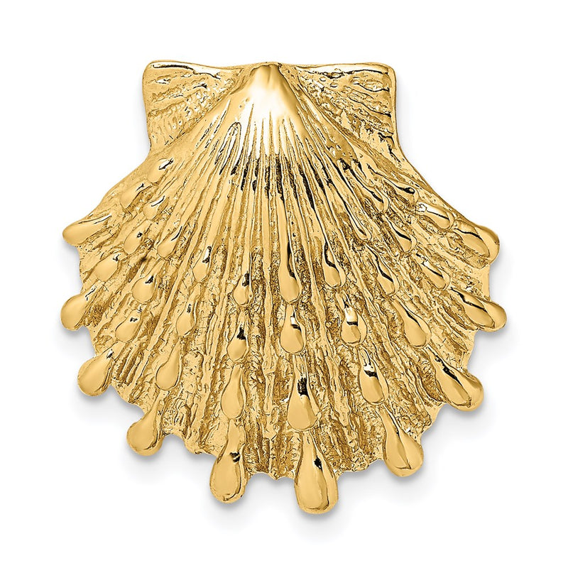 14k Yellow Gold Small Lion's Paw Shell Slide