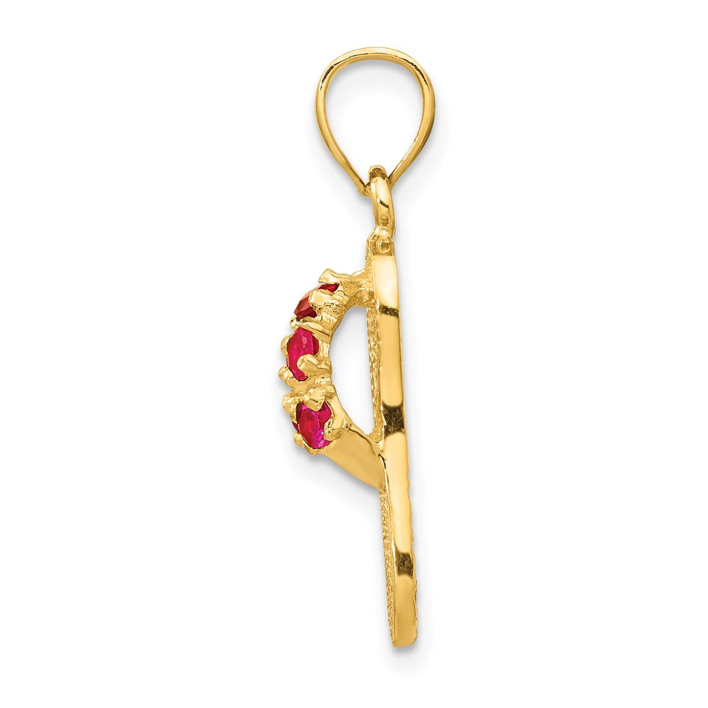 14k Yellow Gold  3D January/CZ Birthstone Flip Flop Pendant