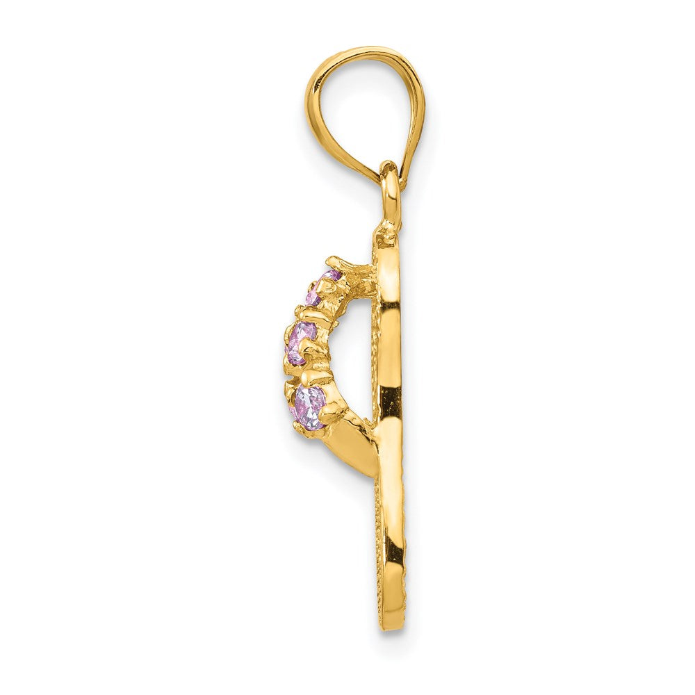 14k Yellow Gold  3D February/CZ Birthstone Flip Flop Pendant