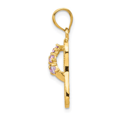 14k Yellow Gold  3D February/CZ Birthstone Flip Flop Pendant