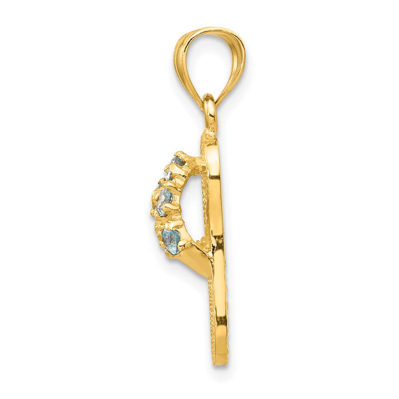 14k Yellow Gold  3D December/CZ Birthstone Flip Flop Pendant