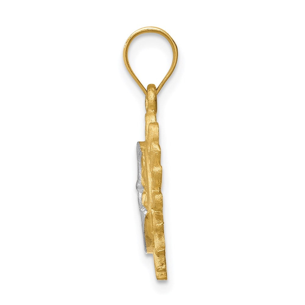 14k Yellow & Rhodium Gold White Rhodium Brushed Sun and Moon Pendant