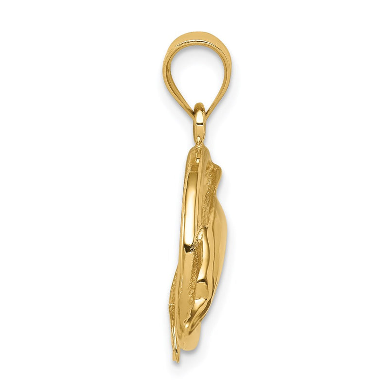 14k Yellow Gold Polished Dolphin in Ring Pendant