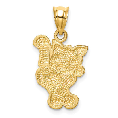 14k Yellow Gold Brushed & Diamond-cut Cat Pendant
