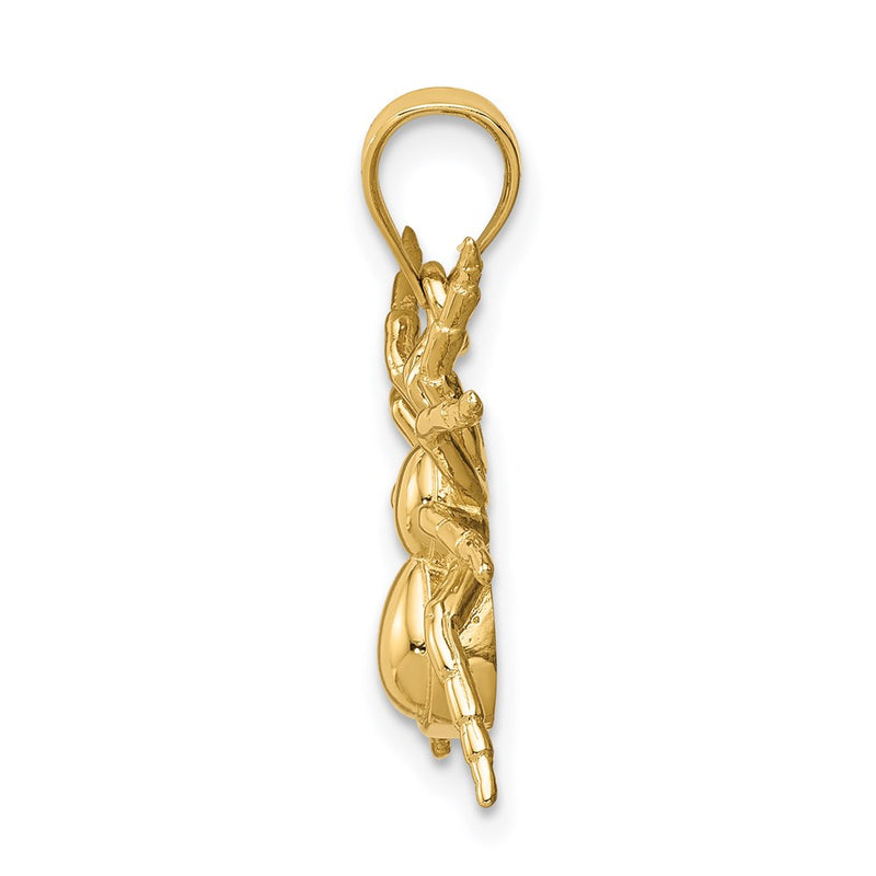 14k Yellow Gold Polished Spider Pendant