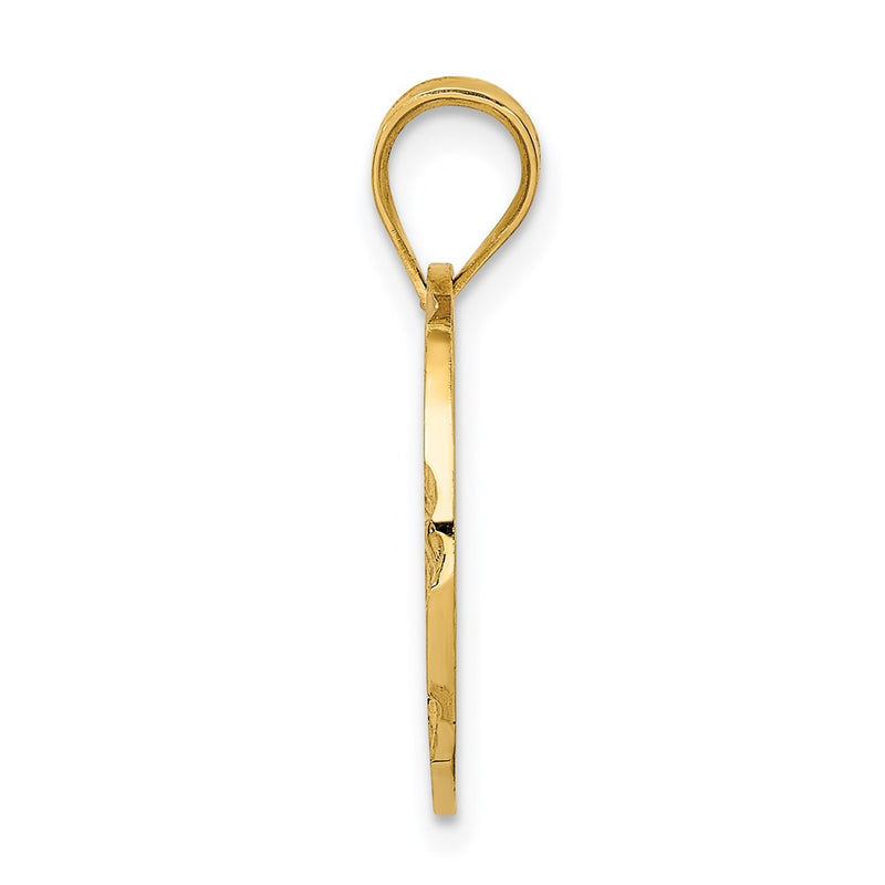 14k Yellow Gold Polished & Textured Disc Pendant