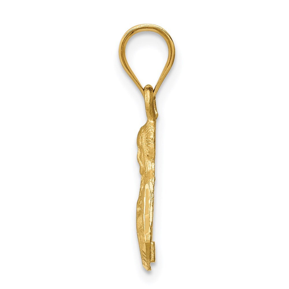 14k Yellow Gold Brushed Diamond-Cut Jesus Pendant