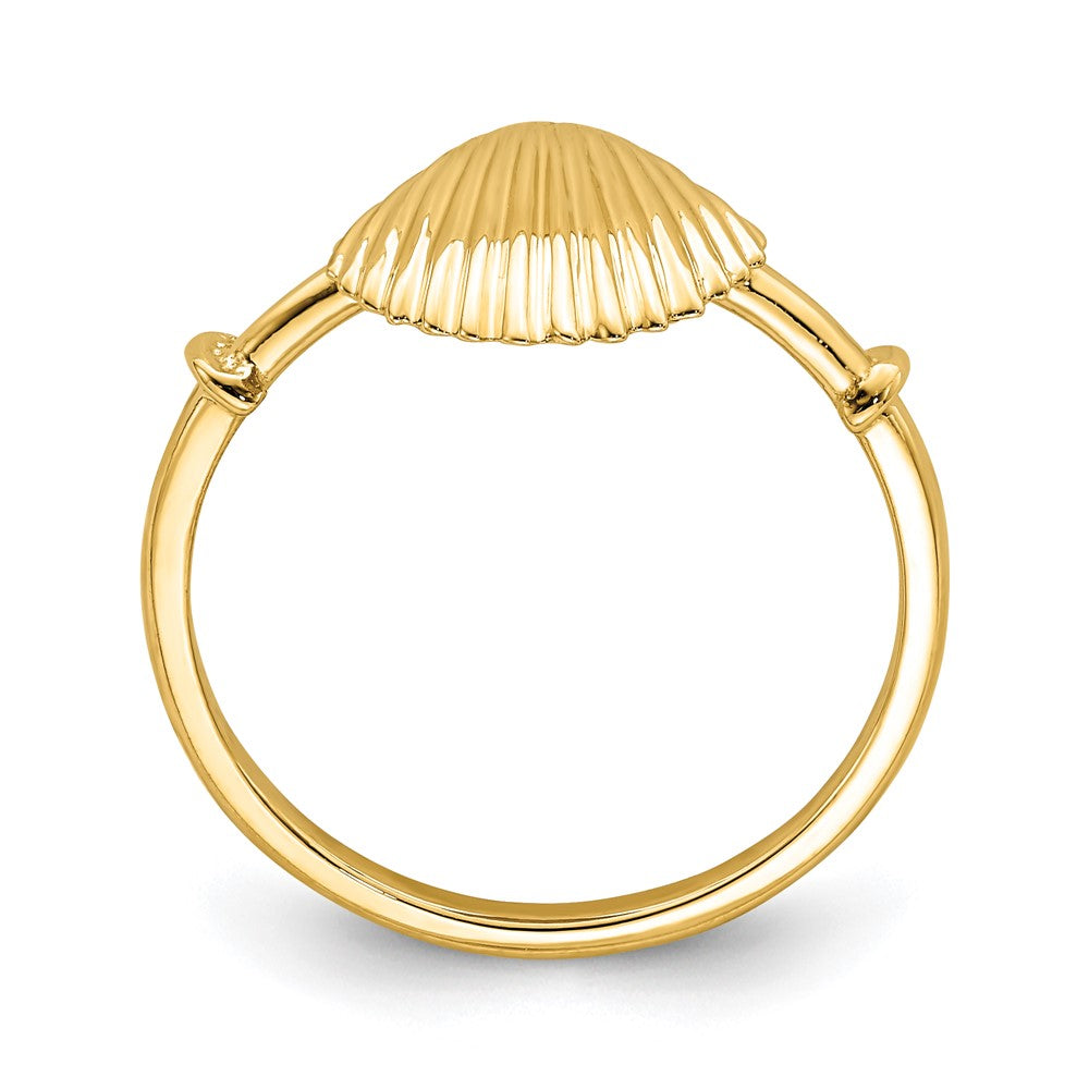 14K Yellow Gold Polished Shell Ring