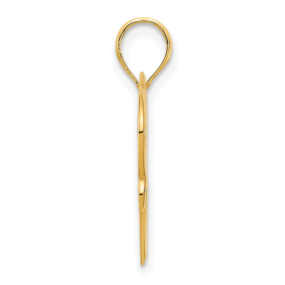14k Yellow Goldy Heart in a Heart Pendant
