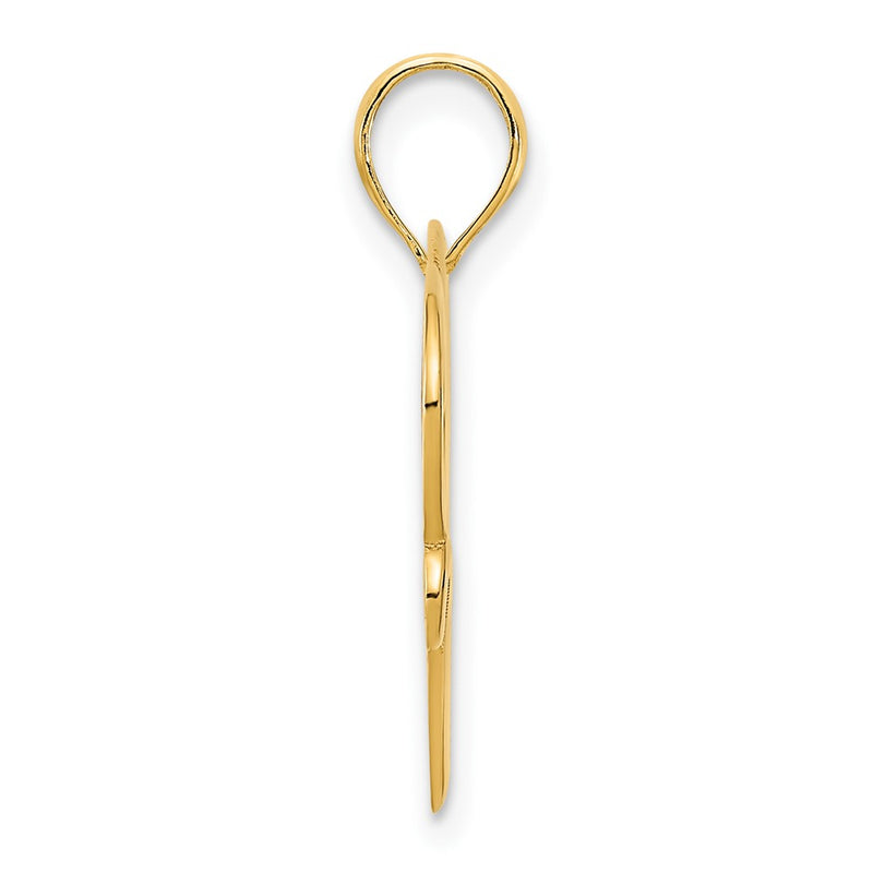 14k Yellow Goldy Heart in a Heart Pendant