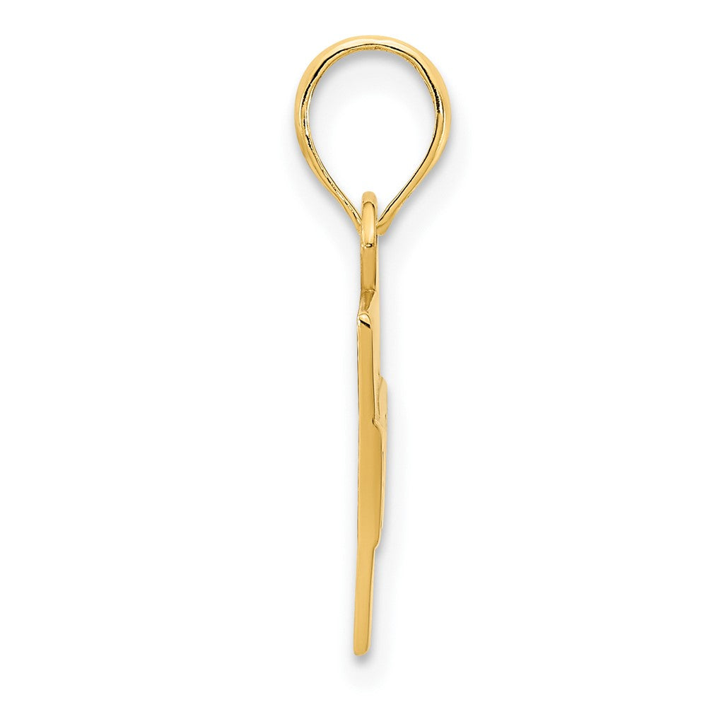 14k Yellow Gold Epoxy FINESSE Pendant