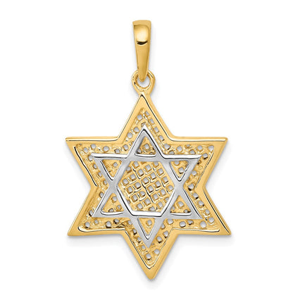 14k Yellow & Rhodium Gold w/Rhodium Solid Mesh Star Of David Charm
