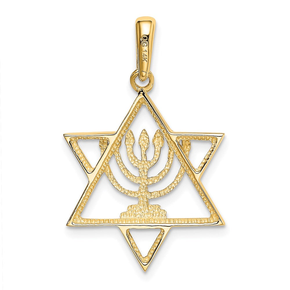 14k Yellow & Rhodium Gold w/ White Rhodium Solid Menorah In Star Of David Charm