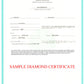 Certified 1/4 CTW Princess Cut Diamond Stud Earrings in 14K White Gold