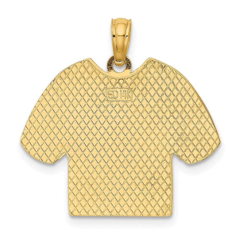 14k Yellow & Rhodium Gold w/Rhodium US AIR FORCE T-Shirt Charm