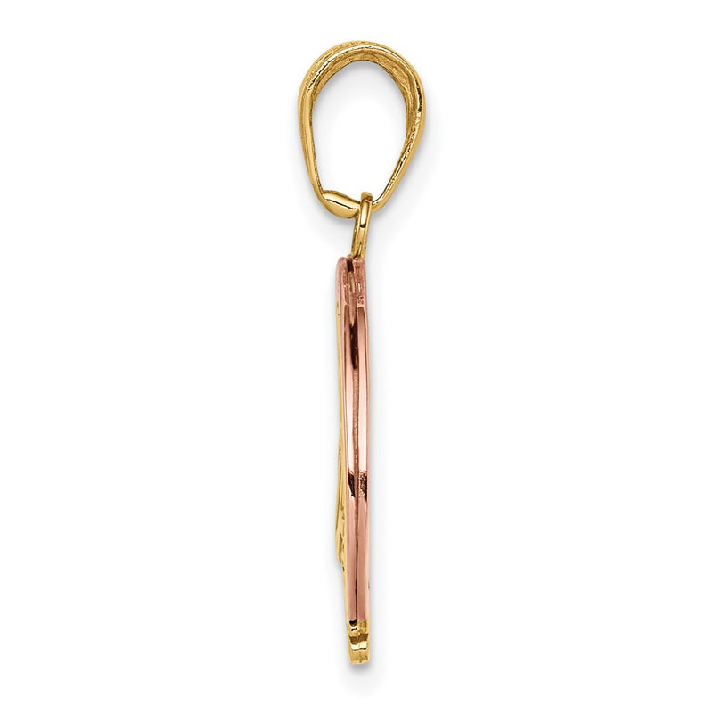 14k Two-tone Gold w/White Rhod FOLLOW YOUR DREAMS Rainbow Charm