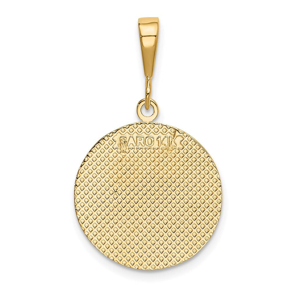 14k Yellow Gold Globe Pendant