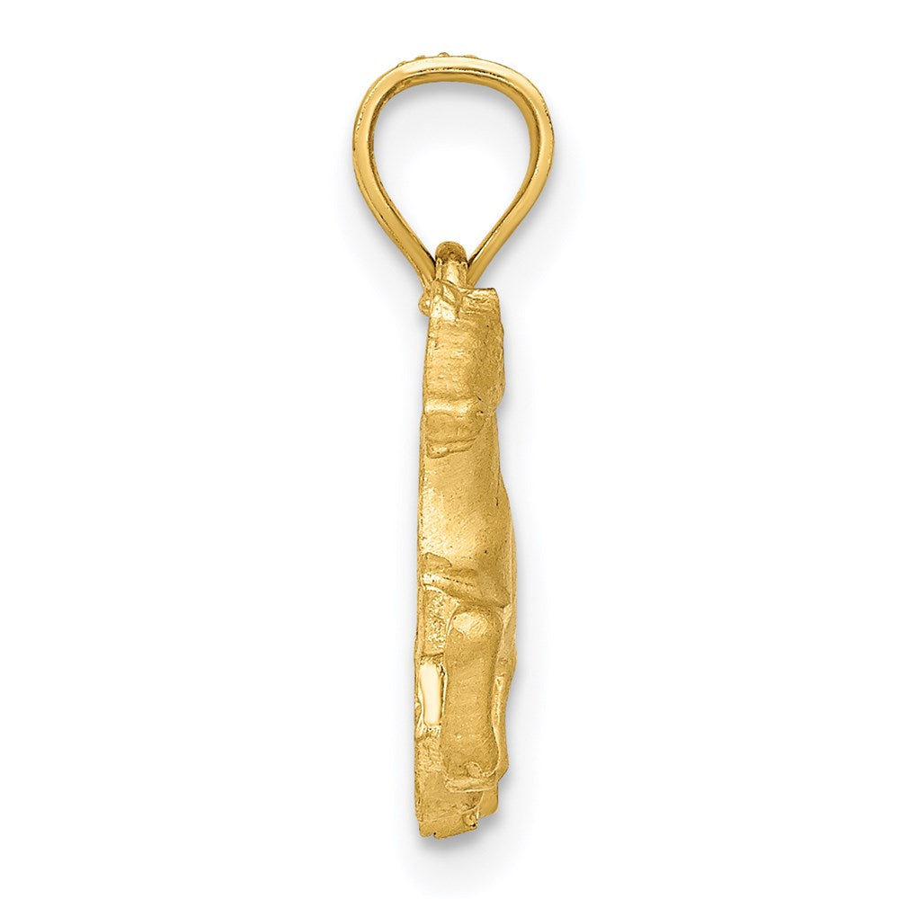 14k Yellow Gold Diamond-cut Pig Pendant