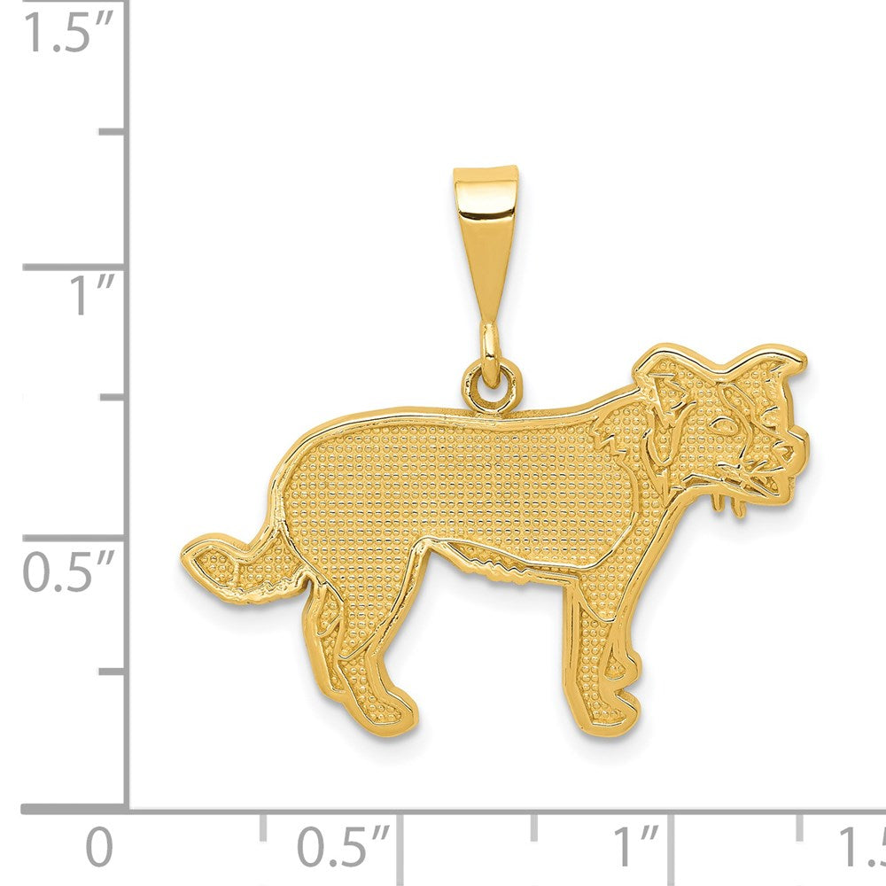 14k Yellow Gold Border Collie Pendant
