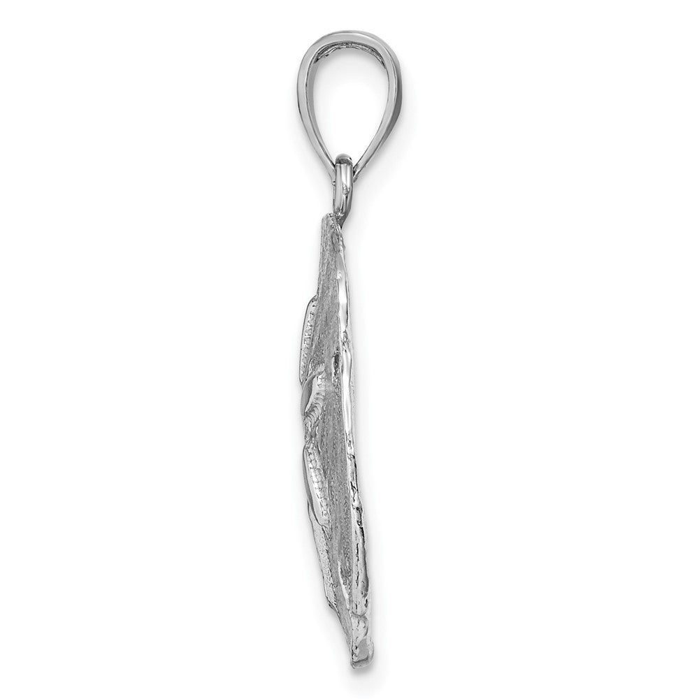 14k White Gold Sand Dollar Pendant