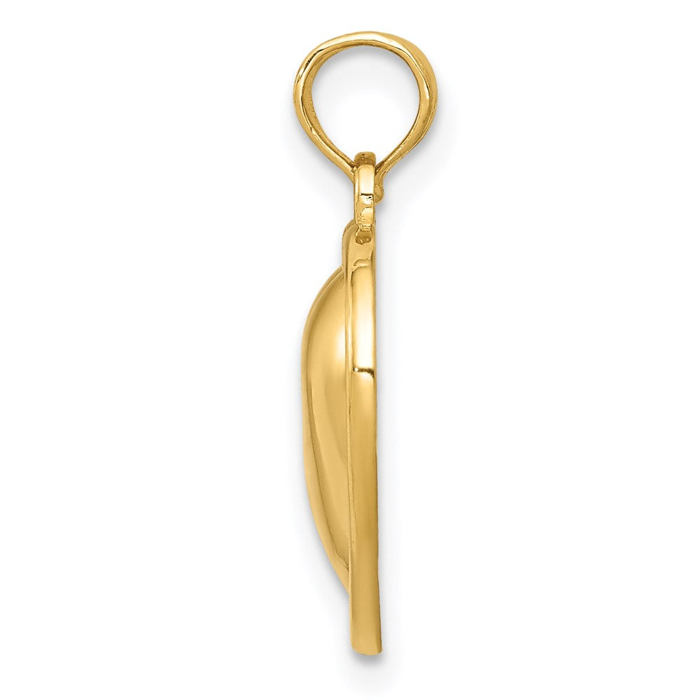 14k Yellow Gold Polished Domed Heart Pendant