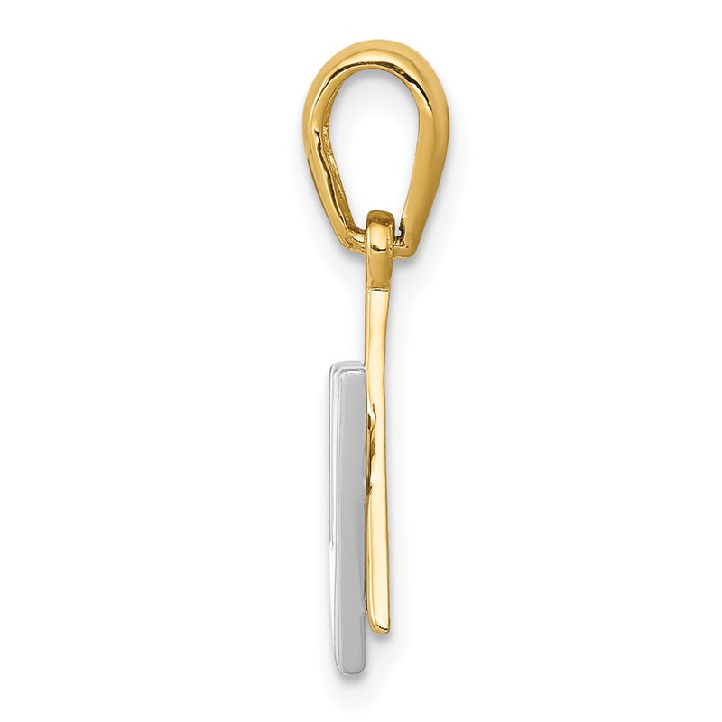 14k Two-tone Gold Star of David w/Shin Charm
