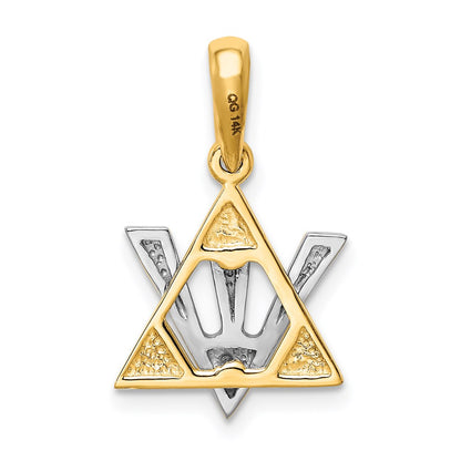 14k Two-tone Gold Star of David w/Shin Charm