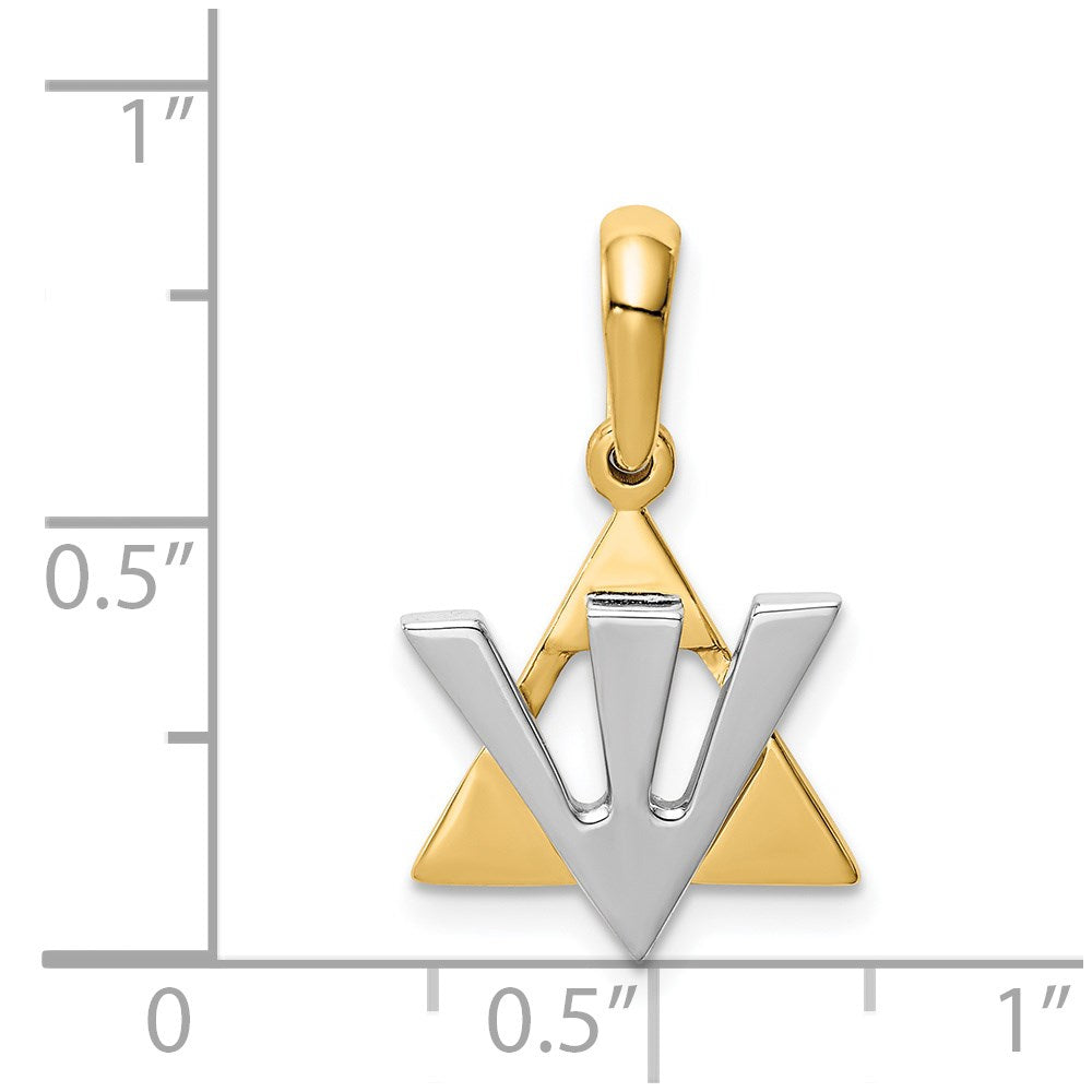14k Two-tone Gold Star of David w/Shin Charm