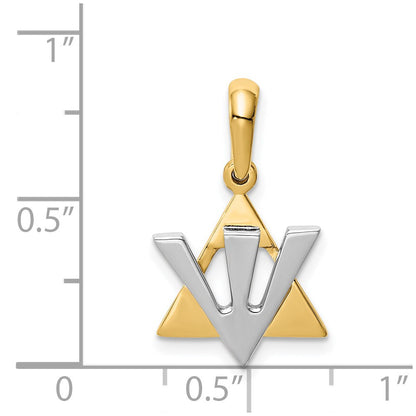 14k Two-tone Gold Star of David w/Shin Charm