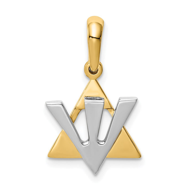 14k Two-tone Gold Star of David w/Shin Charm