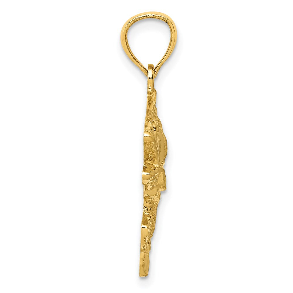 14k Yellow Gold Gold Polished Textured Bass Pendant