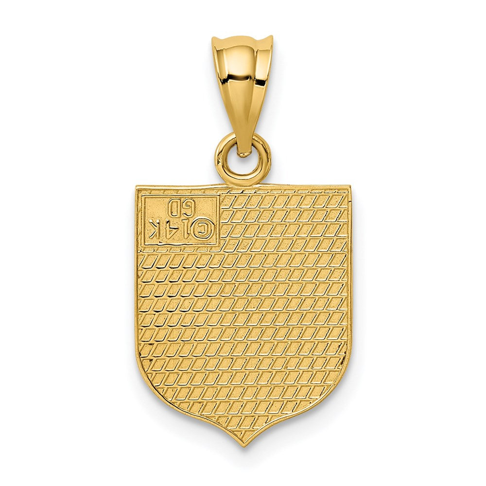 14k Yellow Gold USA Flag Enameled Pendant