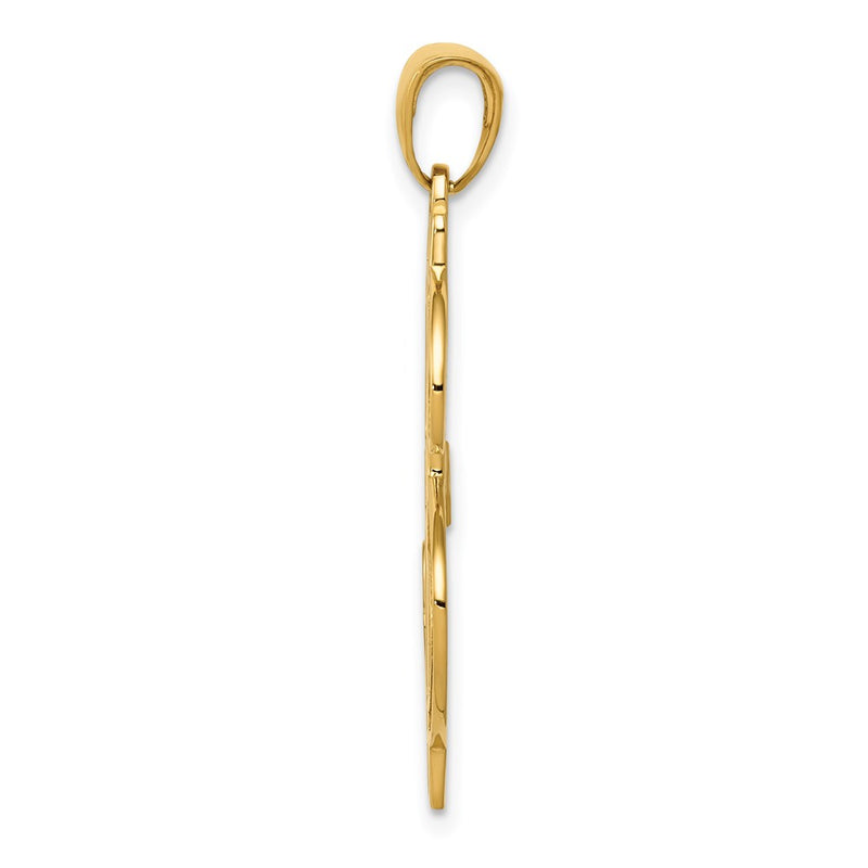 14k Yellow Gold Gold Polished and Textured Dollar Sign Pendant