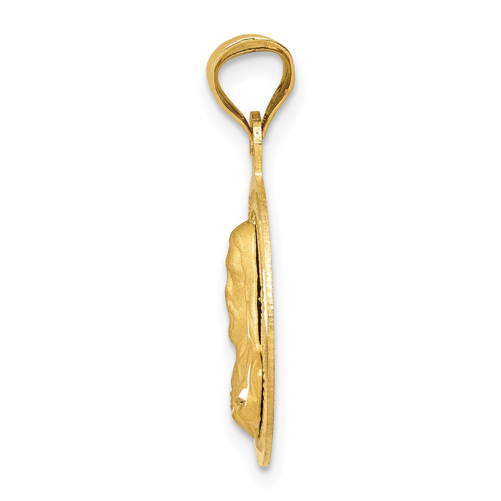 14k Yellow Gold Polished D/C Sagrado Corazon Circle Pendant