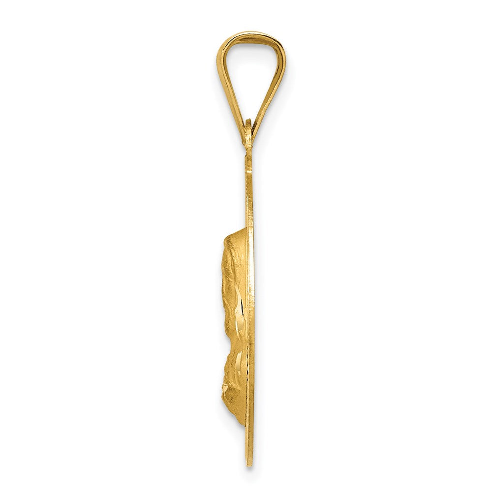 14k Yellow Gold Polished D/C Sagrado Corazon Circle Pendant