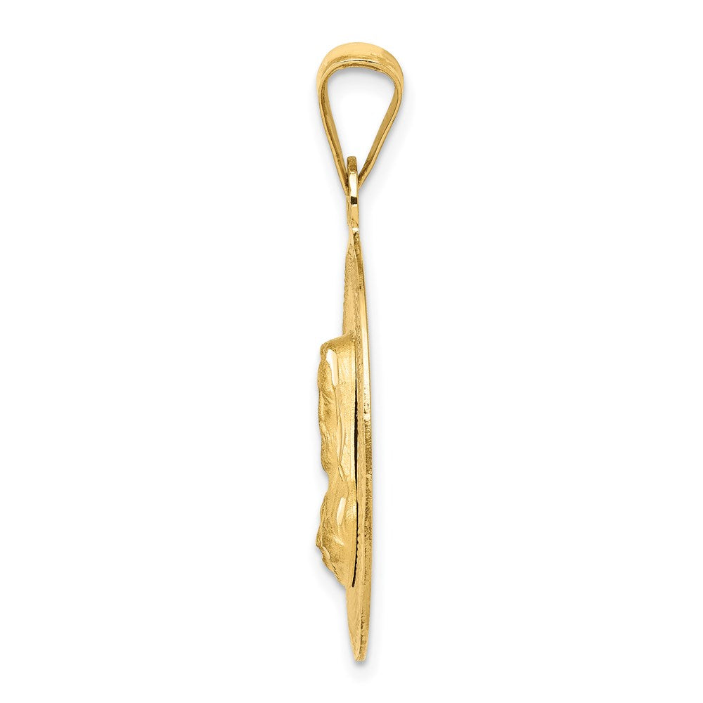 14k Yellow Gold Polished D/C Sagrado Corazon Circle Pendant