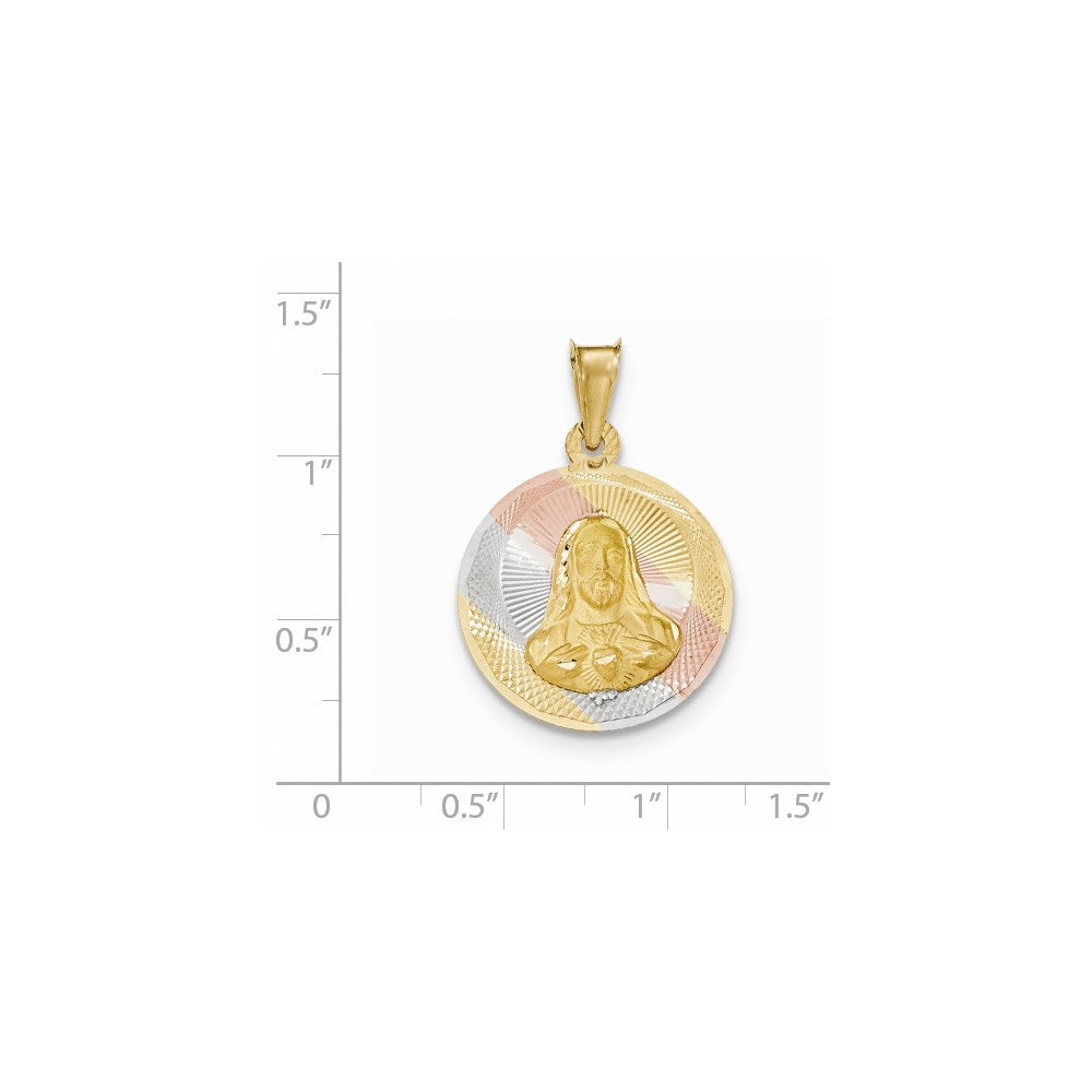 14k Yellow & Rhodium Gold & Rhodium Polished & D/C Sagrado Corazon Circle Pendant