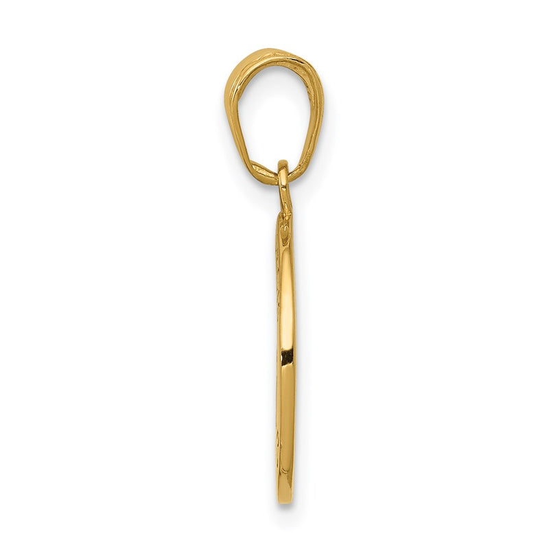 14k Yellow Gold Gold Satin And Polished Saint Francis Medal Pendant