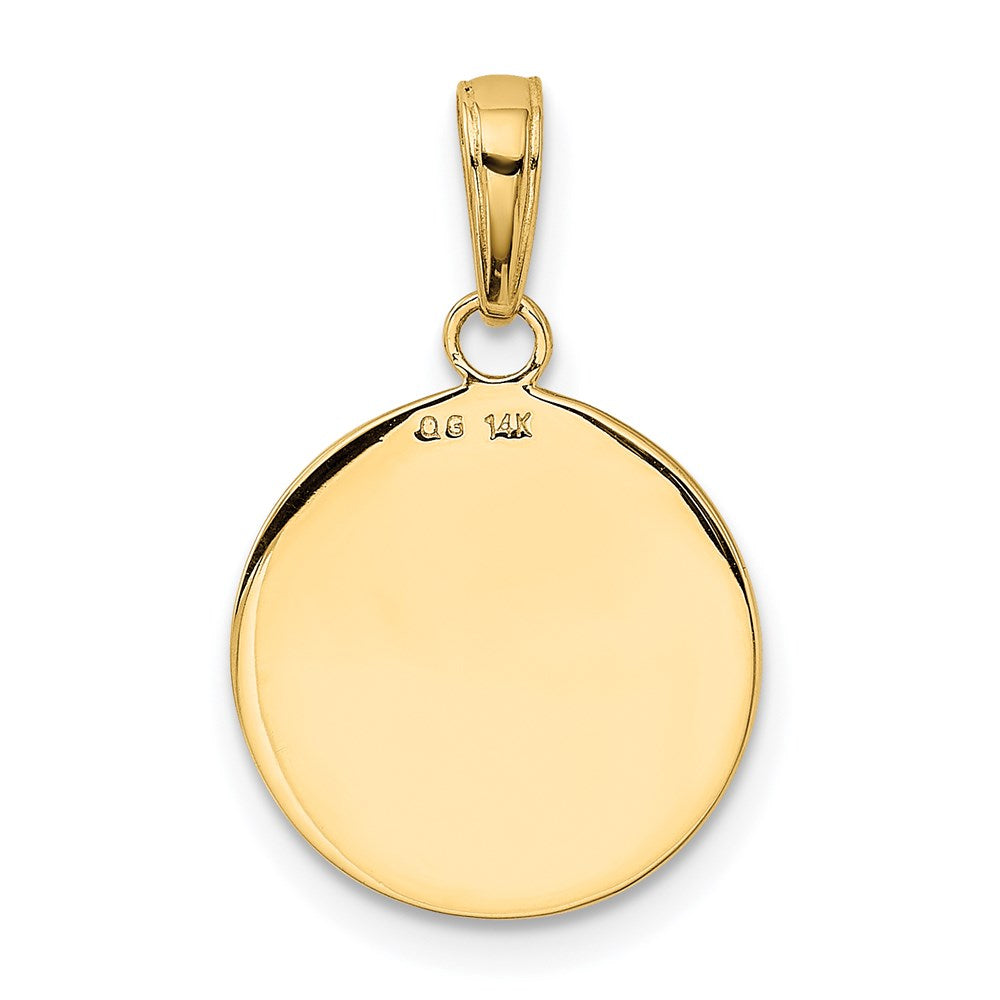 14k Yellow Gold Gold Satin And Polished Saint Francis Medal Pendant