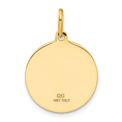 14k Yellow Gold Polished and Satin Papa Francesco Medal Pendant