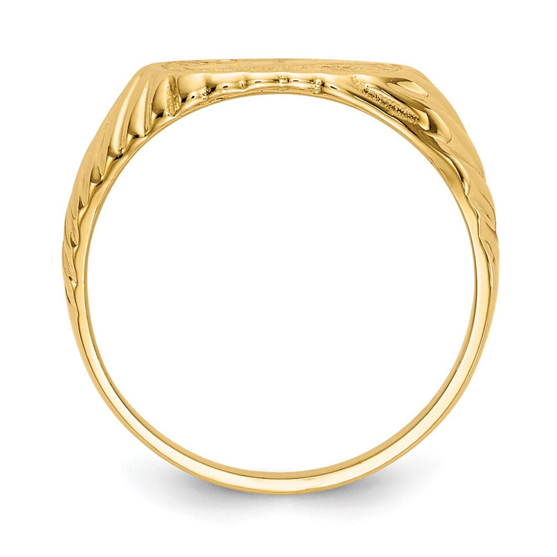 14k Yellow Gold Gold Polished Baby Rectangle Signet w/Stripes Ring