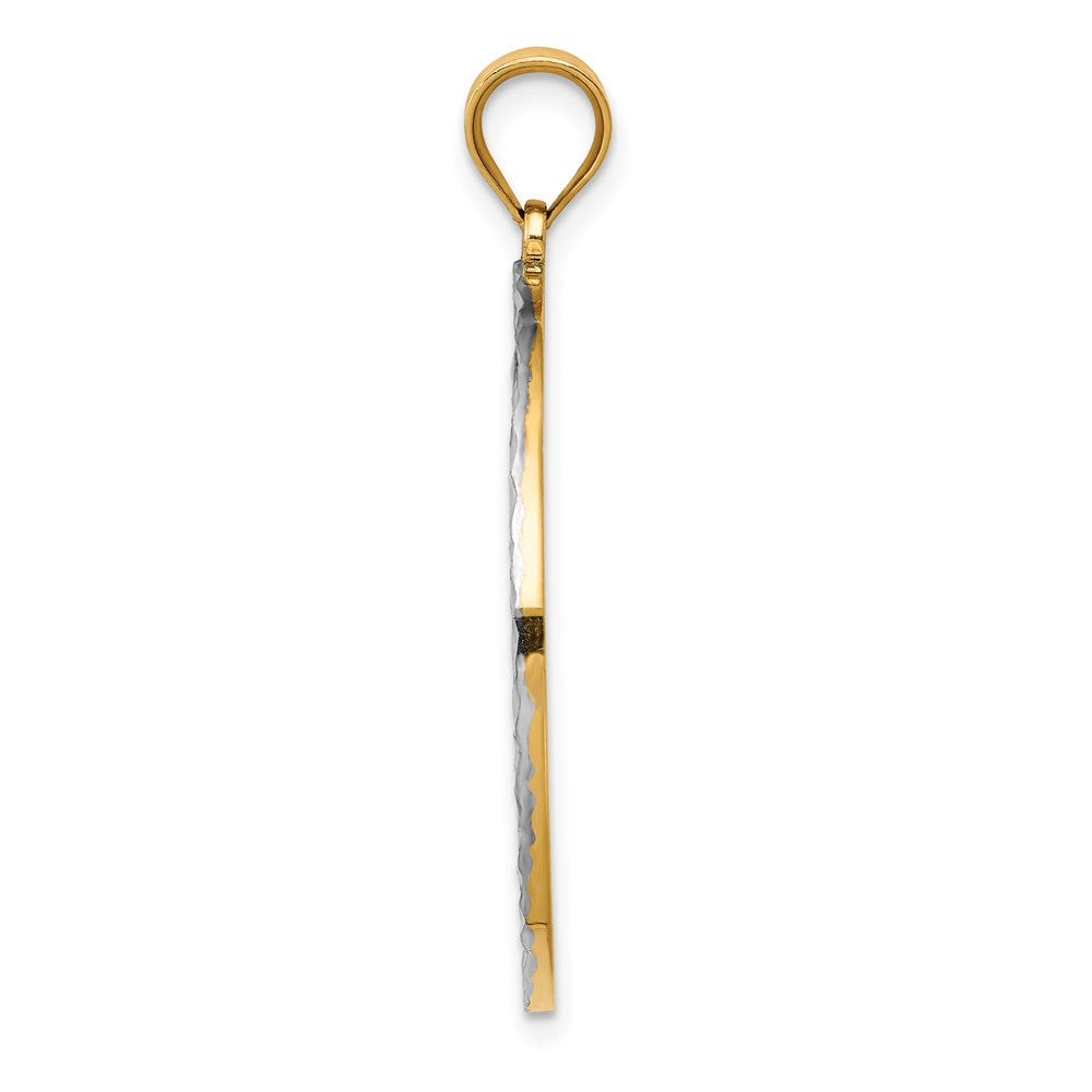 14k Two-tone Gold & Rhodium Polished and Diamond-cut Circle Pendant