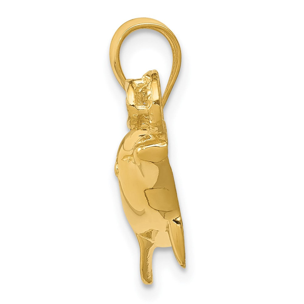 14k Yellow Gold Polished & Diamond-cut Dolphin w/Ball Pendant