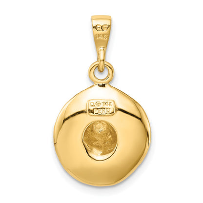 14k Yellow Gold  3D Sombrero Pendant