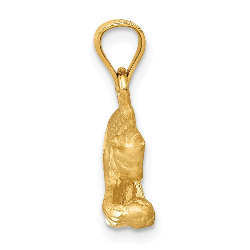 14k Yellow Gold Satin Diamond-cut Cat Pendant